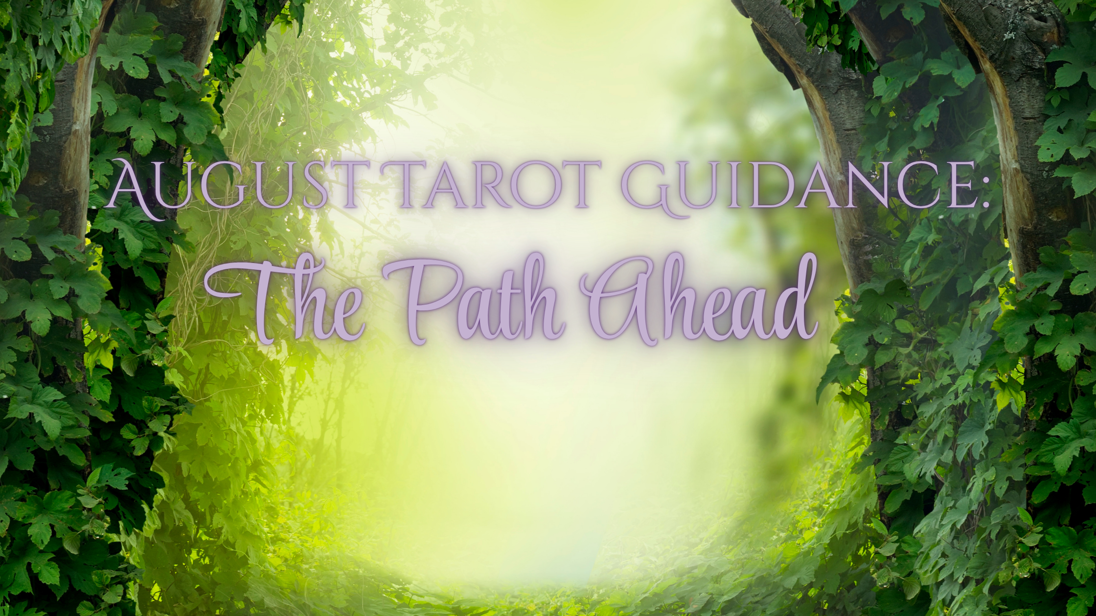 August Tarot Guidance: The Path Ahead