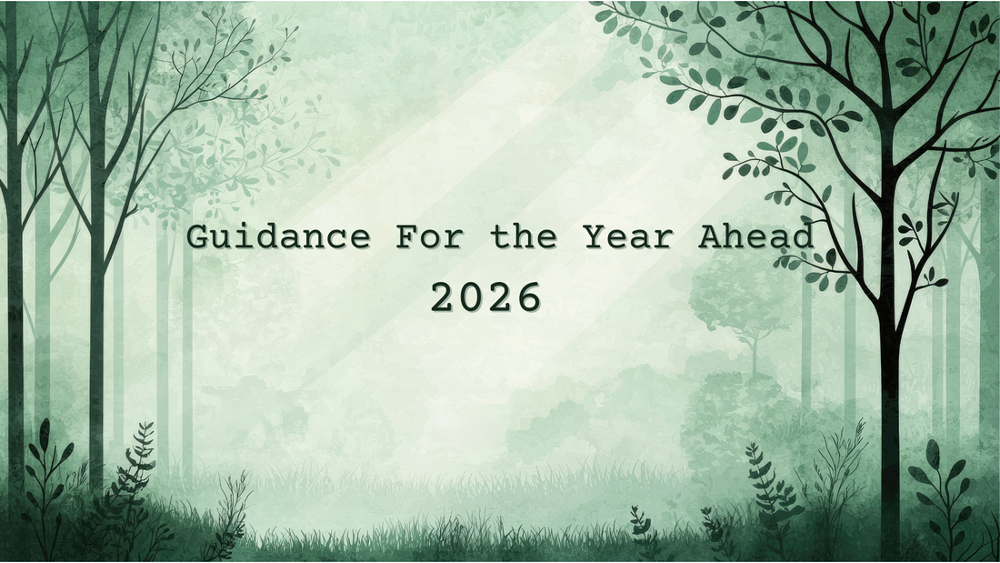 Guidance For The Year Ahead: 2026