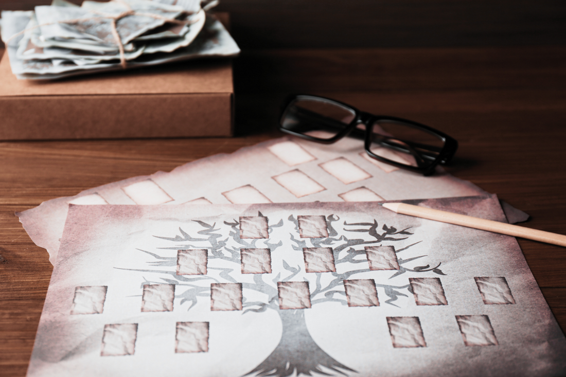 The Ancestral Shadow: What We Inherit, Unpacking Generational Wounds, and How Working with Your Lineage Can Break Cycles
