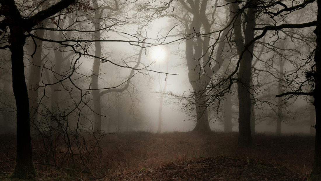 Why Winter Is the Season for Inner Work