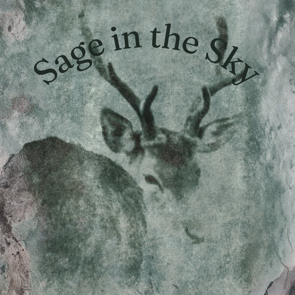 Sage in the Sky